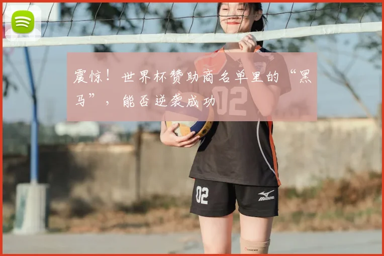 震惊！世界杯赞助商名单里的“黑马”，能否逆袭成功